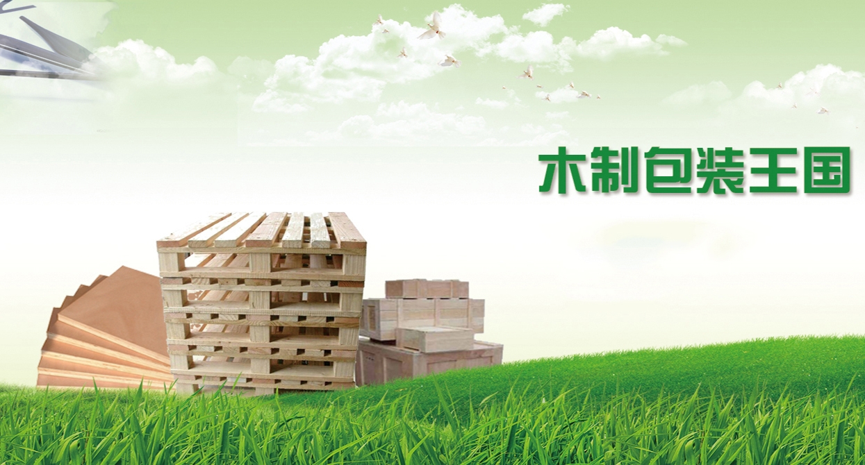 1700188295101494.jpg 1.jpg